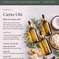 RACROVET BEGINNER FORMULATION GUIDE — E-BOOK VOLUME 2